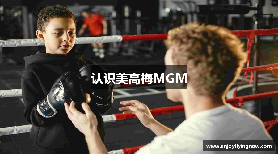 認(rèn)識(shí)美高梅MGM